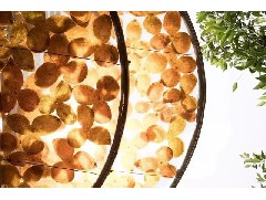 藥房里的陳皮是假的嗎