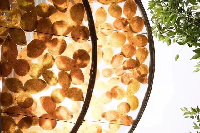 新會(huì)陳皮批發(fā)